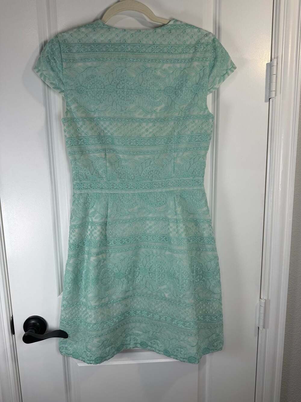 Cynthia Steffe Sea Green Lace Short Sleeve Pleated Fit and Flare Mini Dress - Picture 5 of 8